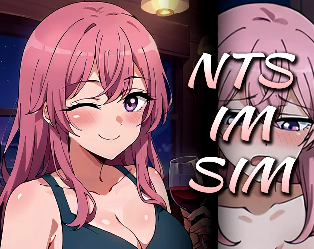 Nts-Im-Sim