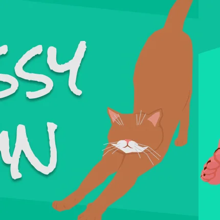 Pussy Fun