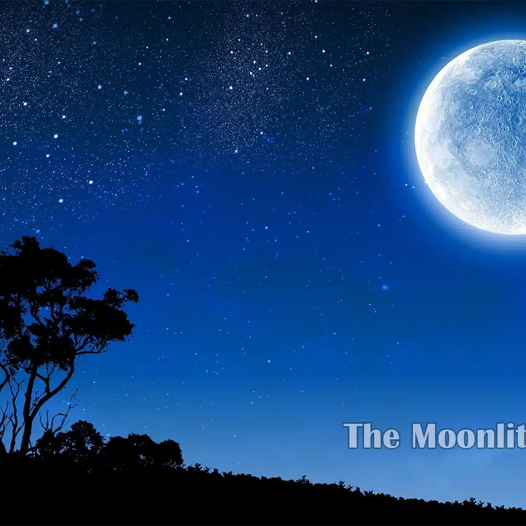 The Moonlit Awakening