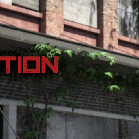 Violation Nation