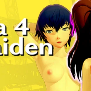 Persona 4: Rise Gaiden