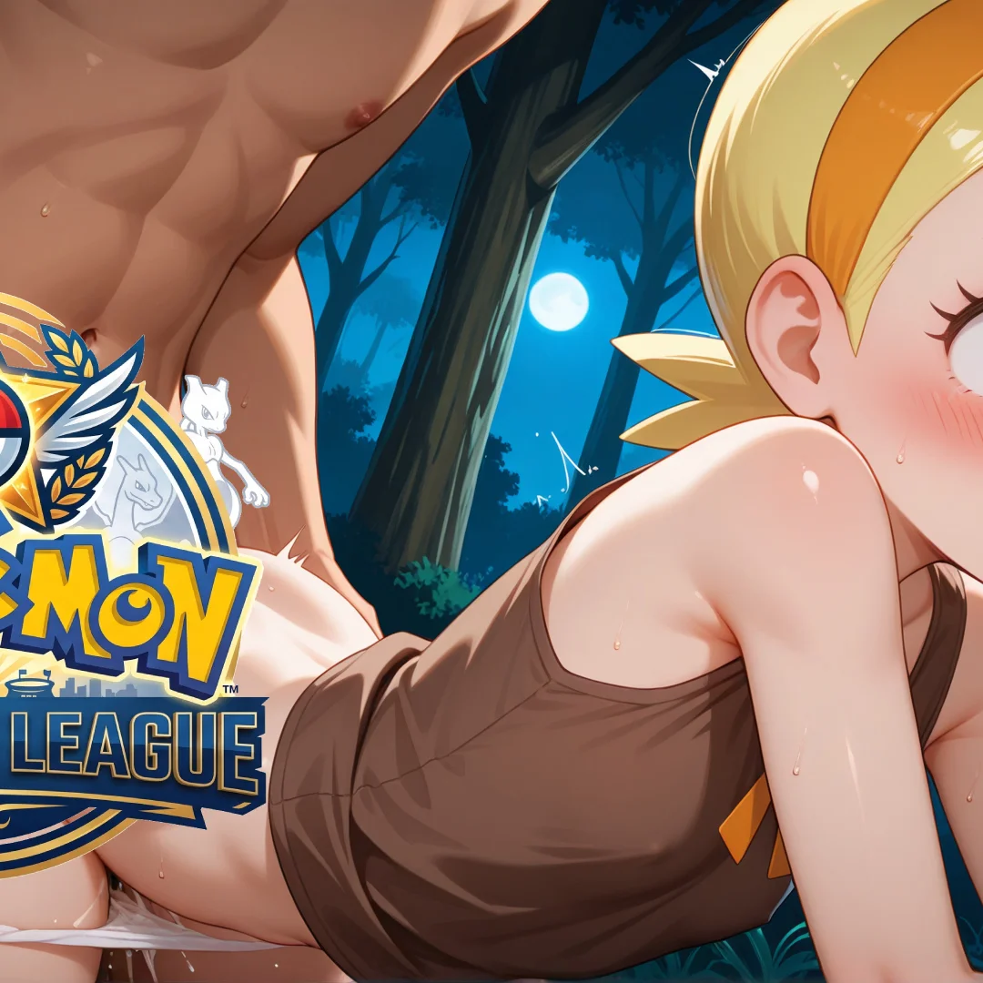 Pokemon:After the League